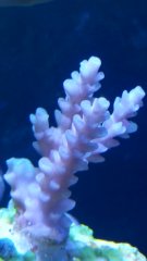 20190609_172310.jpg