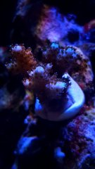 20190609_183555.jpg