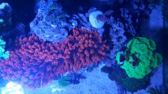 20190616_114946.jpg