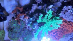 20190616_115011.jpg