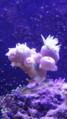 IMG_20190525_130105[1]