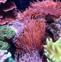 IMG_20190616_160158.jpg