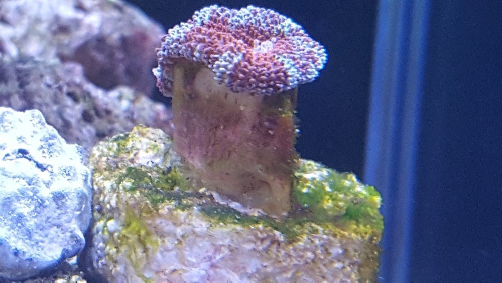20190630_163052-1328x747.jpg