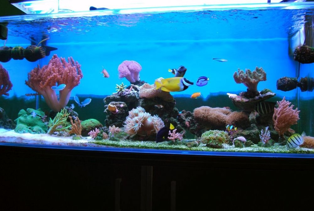 CSC_4954.jpg