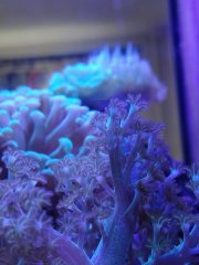 IMG_20190723_152112[1]