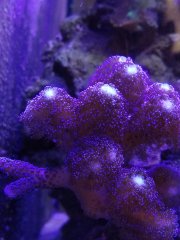 IMG_20190723_150824[1]