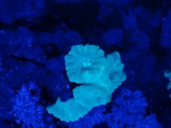 IMG_20190714_190559[1]