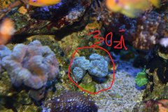 DSC_1780.jpg