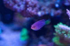 DSC_1850.jpg