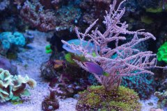 DSC_1887.jpg