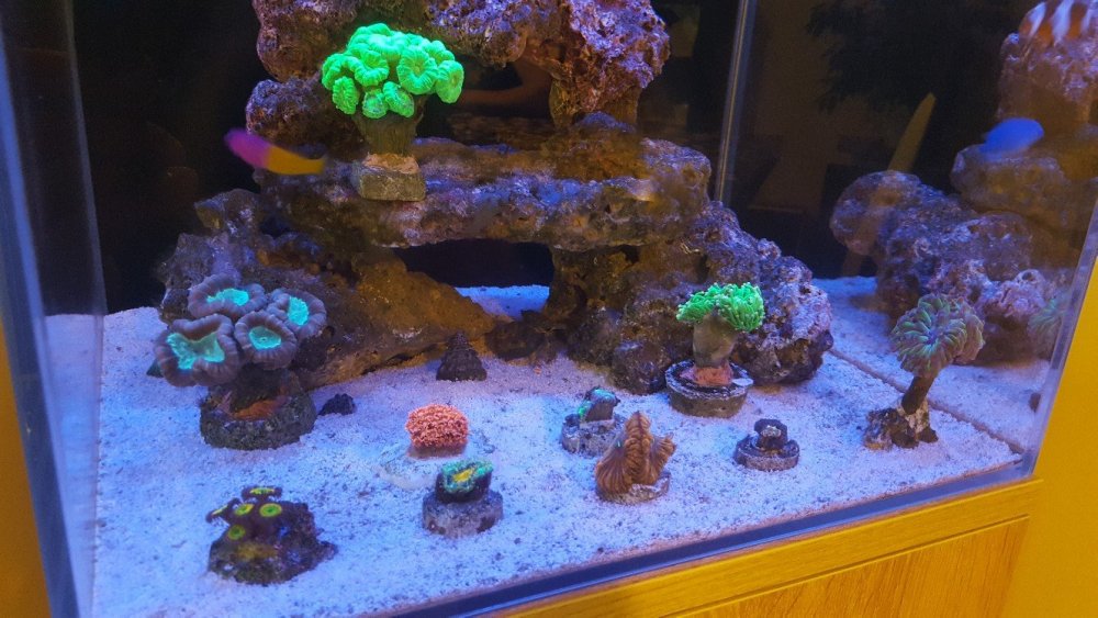 20190823_184949-1328x747.jpg