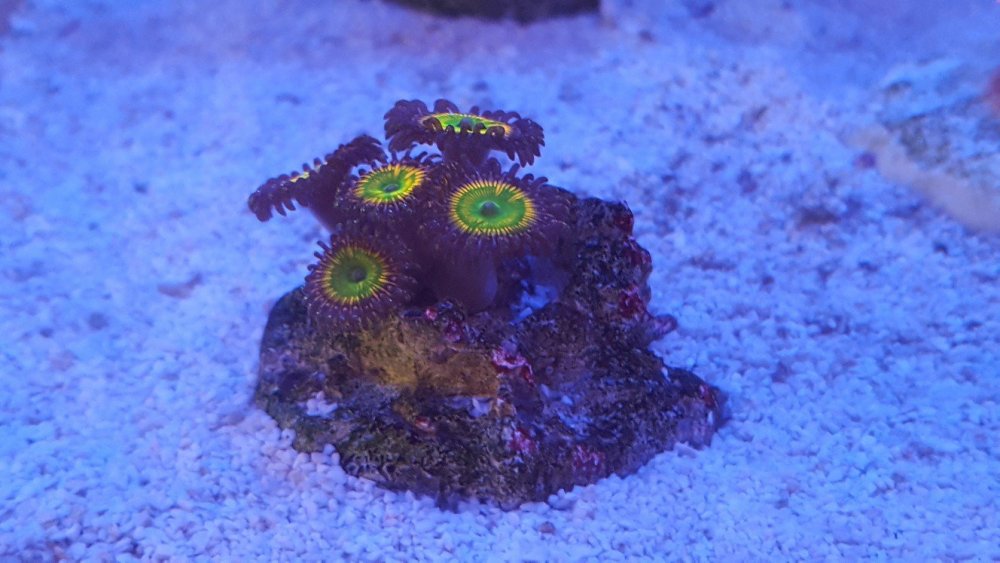 20190823_185155-1328x747.jpg