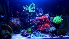 20190801_174917.jpg