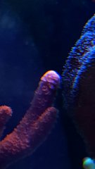 20190801_175135.jpg