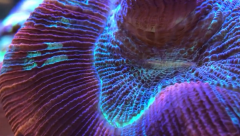 Zrzut ekranu 2019-09-20 o 13.44.52.png