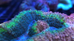 Zrzut ekranu 2019-09-20 o 13.44.59.png