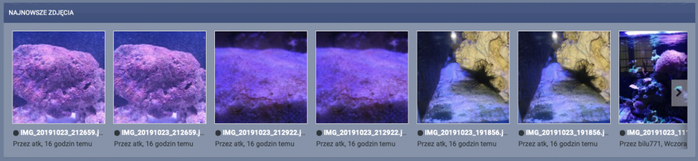 Zrzut ekranu 2019-10-24 o 15.41.50.png