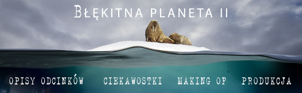 881518791_blueplanetIIcover.thumb.png.5374f0d30ba731163db1f7bba7ea7b59.png