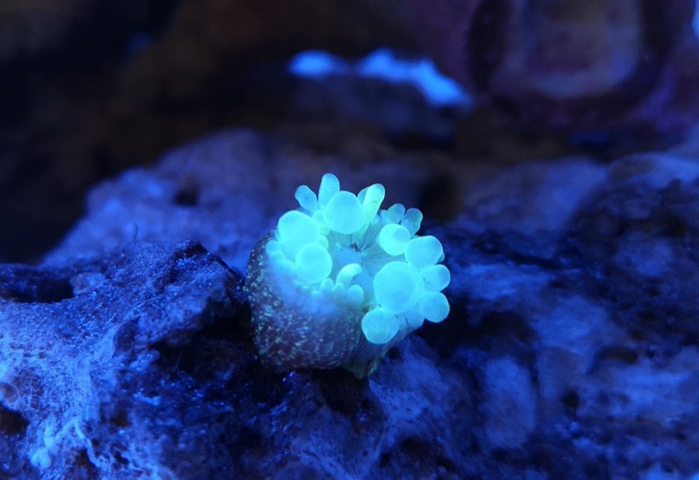 1 w akwriumaasssss.jpg