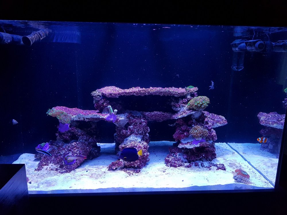 20200111_115959 — kopia.jpg