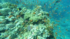 YDXJ0016_000058.jpg
