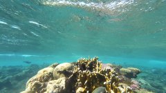 YDXJ0017_000015.jpg