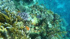 YDXJ0017_000032.jpg