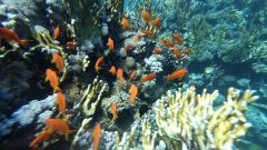 YDXJ0017_000039.jpg