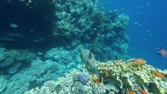 YDXJ0018_000024.jpg