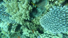 YDXJ0024_000121.jpg