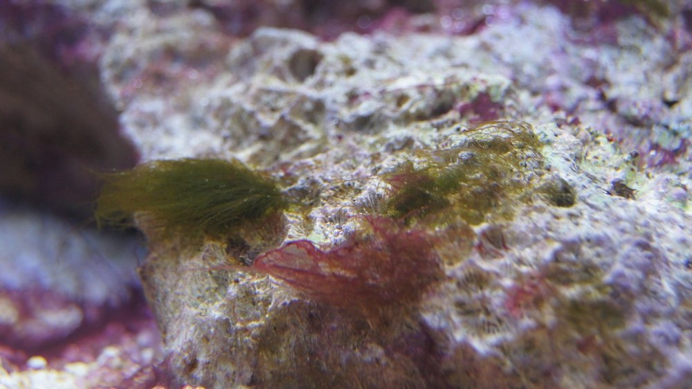 DSC08961 - Kopia.JPG