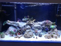 IMG_20200429_123147 (1).jpg