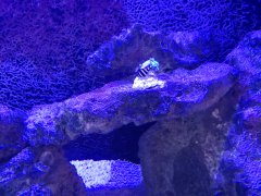 IMG_20200521_105229.jpg