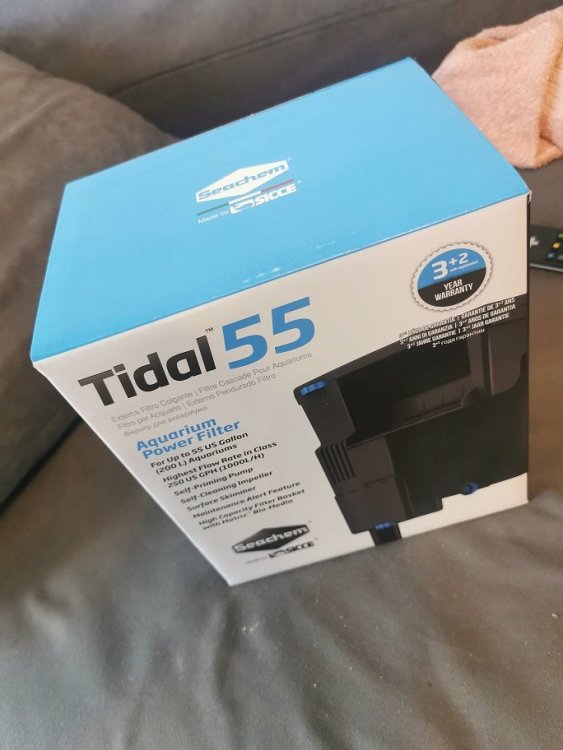 20200705175019s - Kopia.jpg