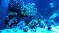 20201012_192726.jpg