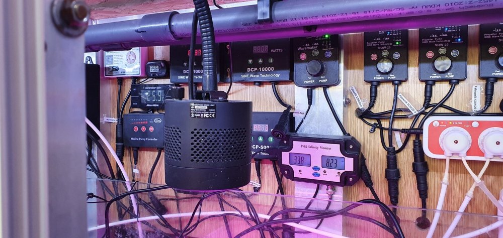 20201126_143334 (Kopiowanie).jpg