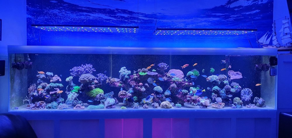 20201126_105802 (Kopiowanie).jpg