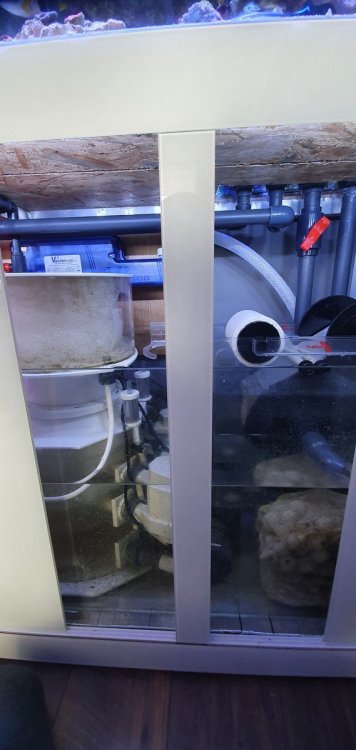 20201126_143424 (Kopiowanie).jpg