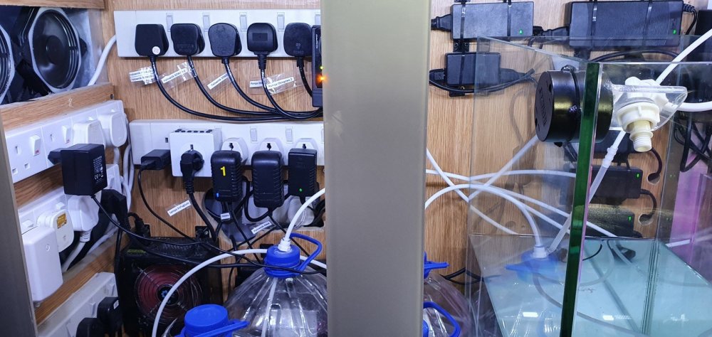 20201126_143257 (Kopiowanie).jpg