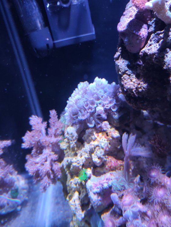 IMG20201106190349_Easy-Resize.com (1).jpg