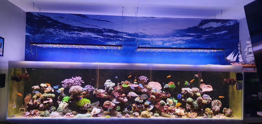 20201126_105846 (Kopiowanie).jpg