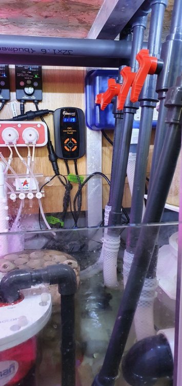 20201126_143358 (Kopiowanie).jpg