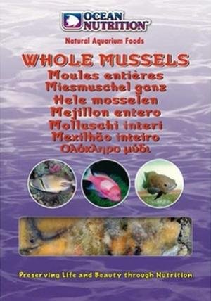 big_Ocean-Nutrition-Frozen-Whole-Mussel-100g.jpg.46572092b70785f48477a6837af9ac27.jpg