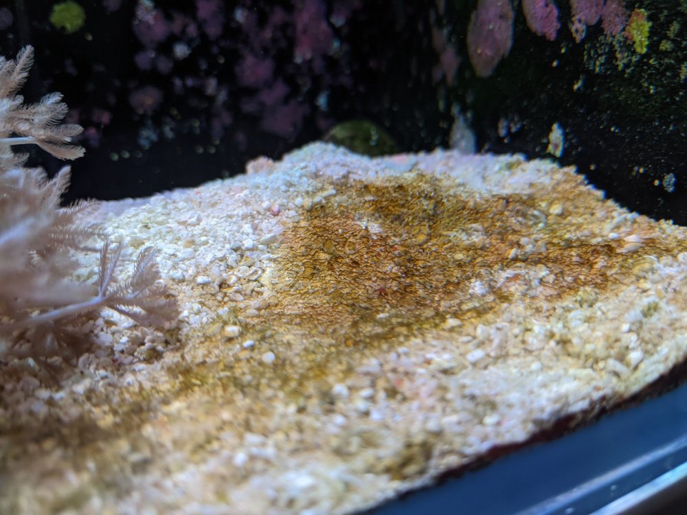 PXL_20201025_144920456 (1).jpg