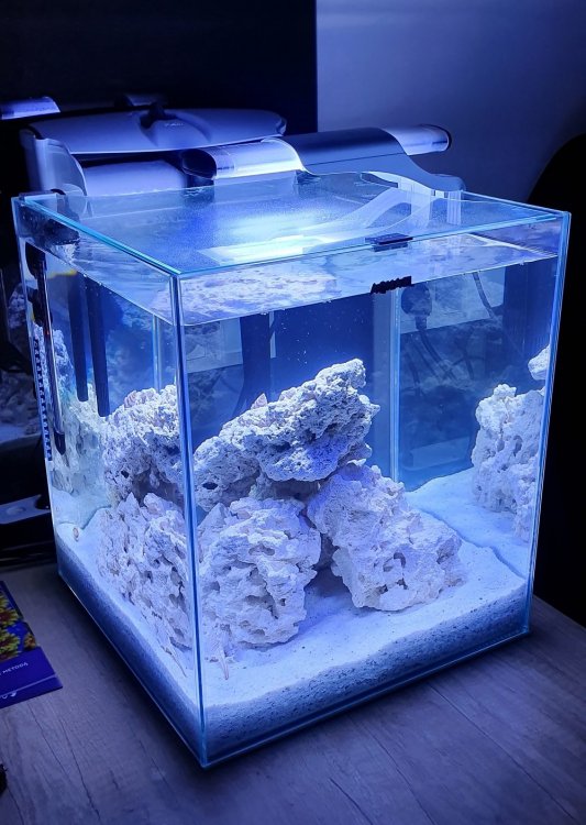 Pierwsza kostka AQUAEL NANO REEF DUO 49L - Akwaria do 60 L - nano-reef.pl