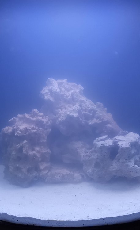 IMG_20210111_203027 (2)-min.jpg