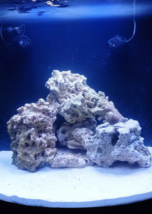 IMG_20210113_173939 (2)-min.jpg