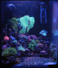 15 styczen 2021 ostatnie.jpg