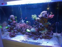 IMG_20210118_153338762.jpg