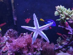 IMG_20210118_153405896.jpg